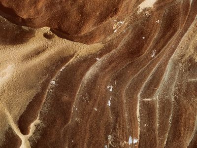 Element of nature like a smooth stone or leaf.