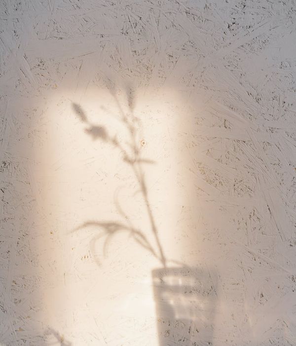 Minimalist space for practice with natural light.